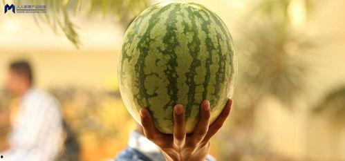 娱乐圈可以吃的大瓜